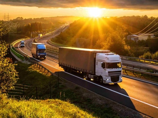 The Micargo Commitment to Logistics Excellence